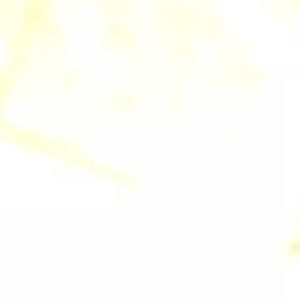 Meet your Posher, Giselle